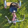 Childs tricycle Image 7