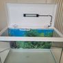 Ciano Fish Tank Image 2