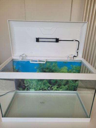 Ciano Fish Tank