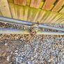 Washing Line Image 4