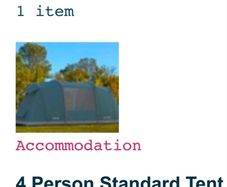 electric picnic pink moon tent
