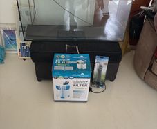 Fish tank