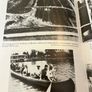 The Real Walt Disney Image 7