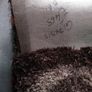 RUG/Kashmiri Luxury Rug now REDUCED  to Less Than Half Price Image 3