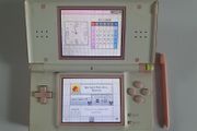 Nintendo DS Lite pink/white