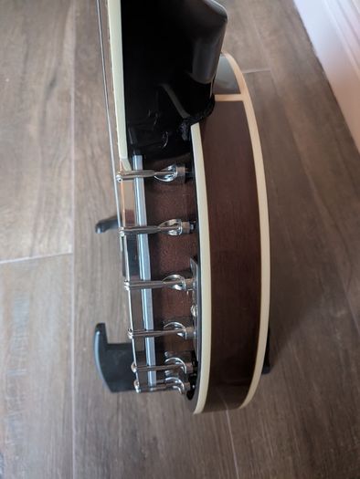 Banjo with padded gigbag