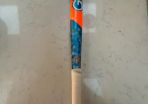 Hockey Stick