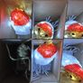 Mains Powered Christmas Robin Lights Image 6