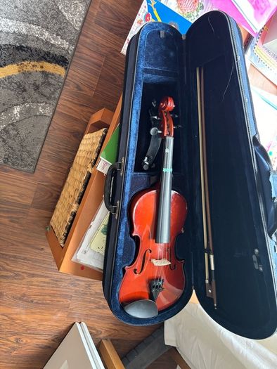 3/4 violin