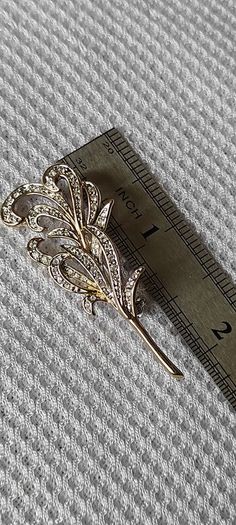 brooch