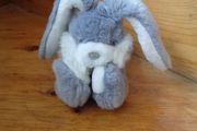 Cuddly Bunny Rabbit for Sale