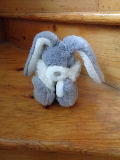 Cuddly Bunny Rabbit for Sale