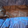 Vintage Tommy Hilfiger puffa jacket Image 7