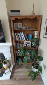 Solid wood shelving unit