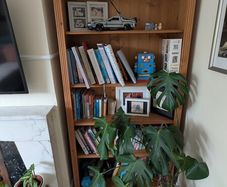Solid wood shelving unit