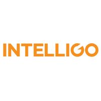 Intelligo Jobs in Ireland