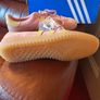 Adidas Originals Image 2