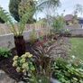 Soft  landscaping services north dublin Image 2