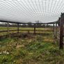 Hen Run Image 3