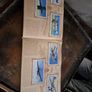 Vintage Aircraft Royal Air Force Image 5