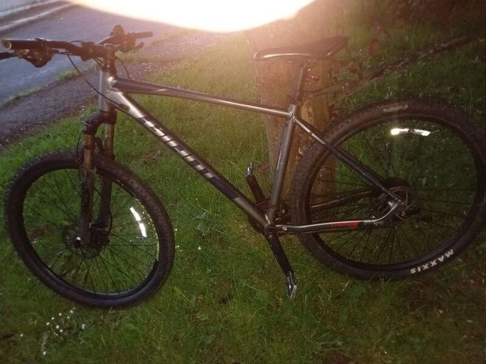 Giant bike