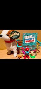 Dog in Basket Brand New Bundle