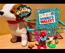 Dog in Basket Brand New Bundle