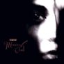 This Mortal Coil  -  filigree & shadow Image 5