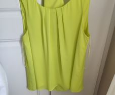 Ladies top