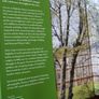 Seasons at Highclere/ Gardening, Growing, Cooking at the Real Downton Abbey / 2021 Image 4