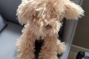 Gund Puppy Soft Toy New Teddy Bear Plush Toys Teddies Soft Toys Comforter