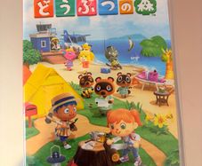 Animal Crossing New Horizons Nintendo Switch Game (Japanese Version)