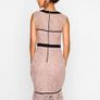 Gorgeous Lace Paper Doll Dress Image 4
