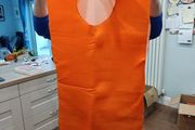 Carrot costume