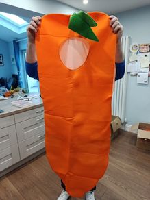 Carrot costume