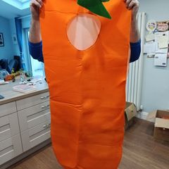 Carrot costume