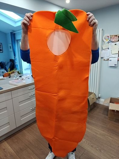 Carrot costume