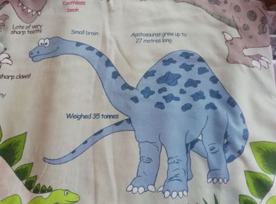 Dino themed reversable single bed cover