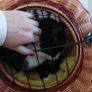 2 in 1 /cat cage&carrier for small dog/ medium dog carrier available Image 6