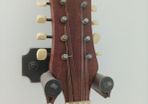 Mandolin