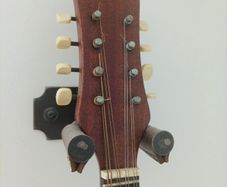 Mandolin
