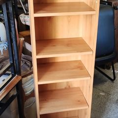 Shelf Unit (26351)