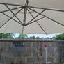 garden Image 4
