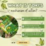 TOKI slimming candy (Support to enhance fat metabolism, support fat loss) Image 3