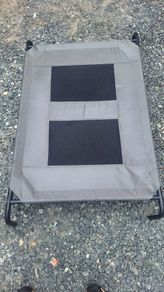 Dog bed