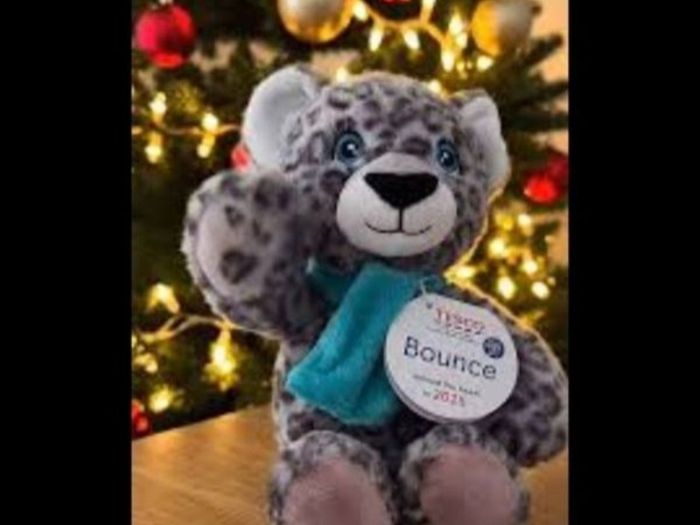 x2 Bundle - Soft Plush Toys