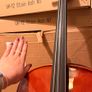 Roth & Junius RJC Cello Set 1/2 Image 3