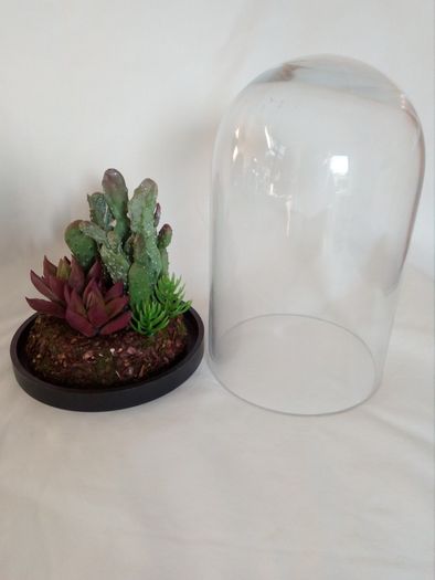 Home and garden