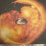 Alexander Tucker - Portal (Limited Edition) Image 5