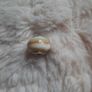 bacio sterling silver and murano glass charm Image 2
